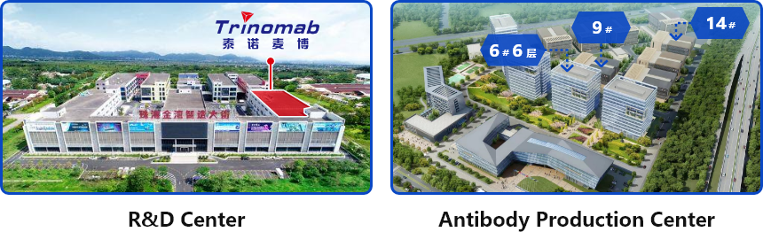 组 2440.png